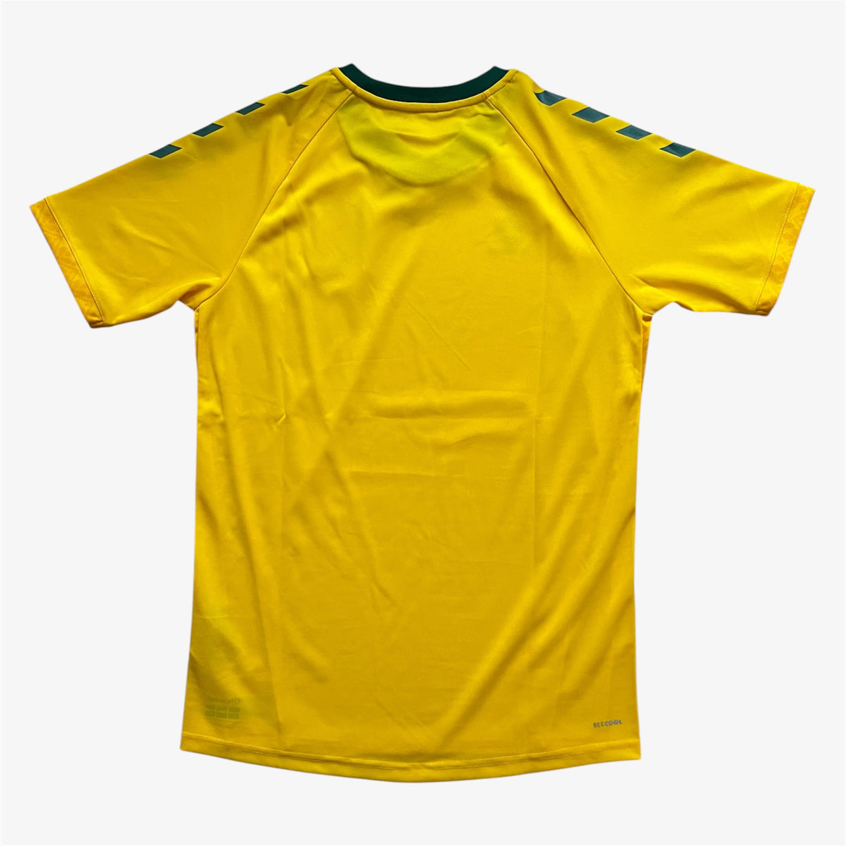 2024/2026 LITHUANIA HOME SHIRT